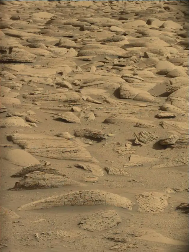 Sol 4480: Mast Camera (Mastcam)