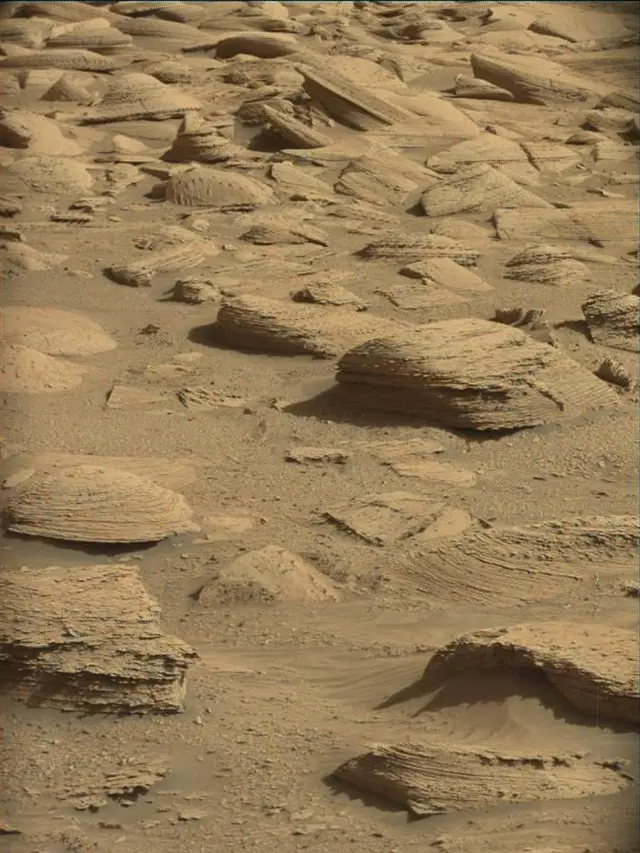 Sol 4480: Mast Camera (Mastcam)