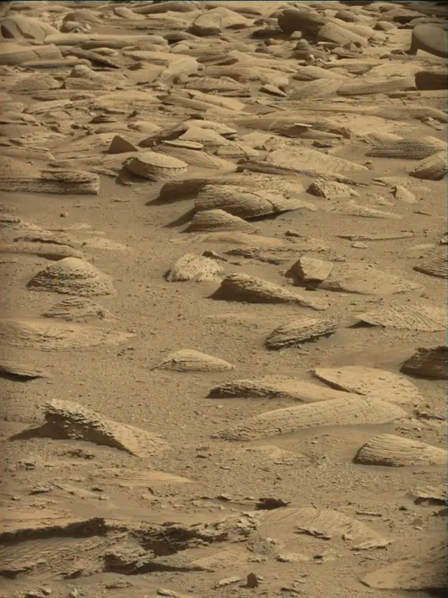 Sol 4480: Mast Camera (Mastcam)