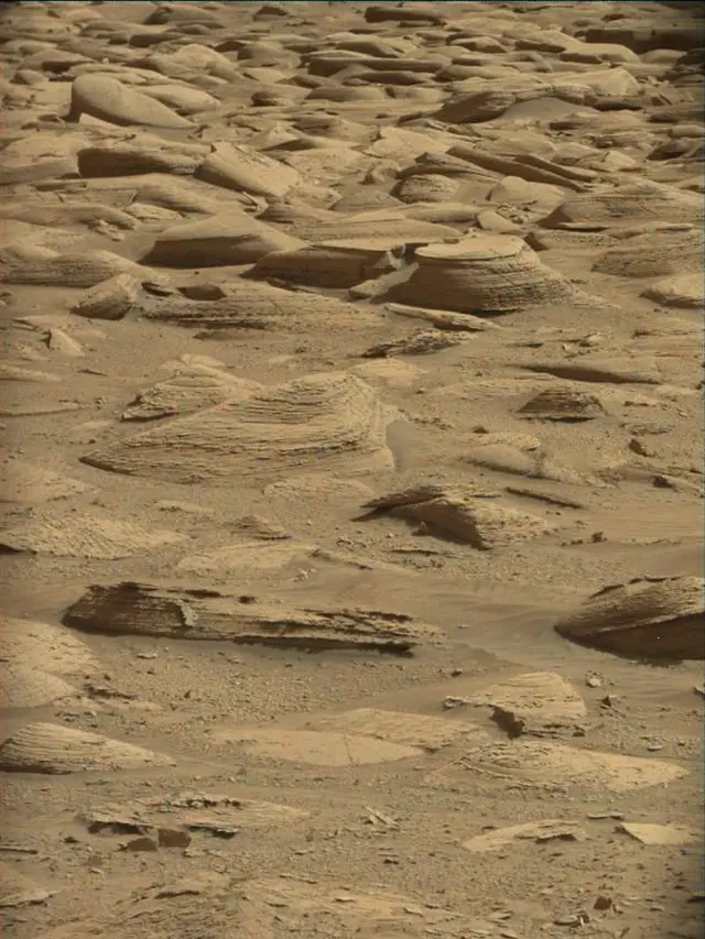 Sol 4480: Mast Camera (Mastcam)
