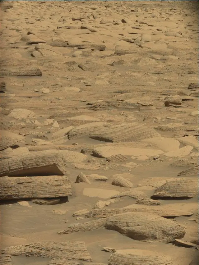 Sol 4483: Mast Camera (Mastcam)