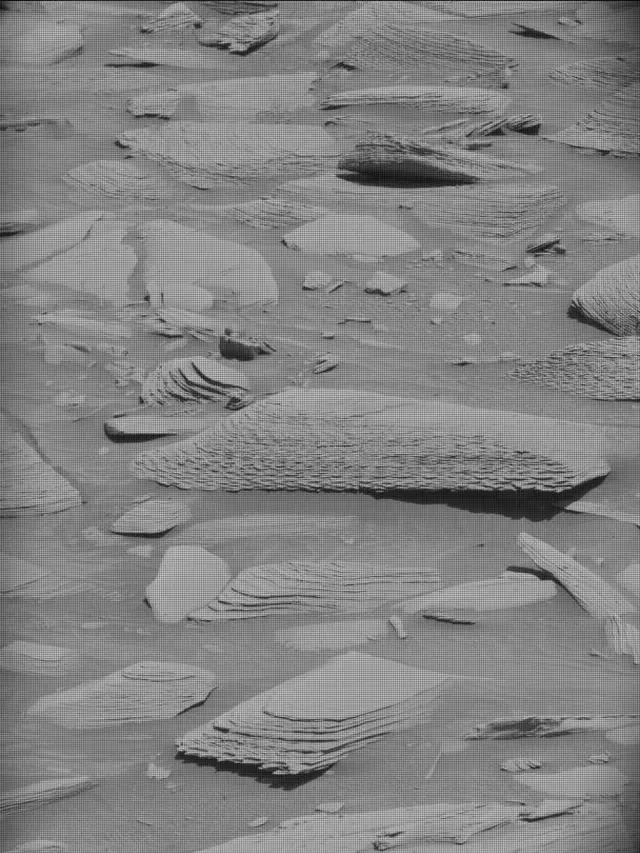 Sol 4484: Mast Camera (Mastcam)