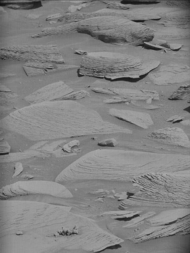 Sol 4484: Mast Camera (Mastcam)