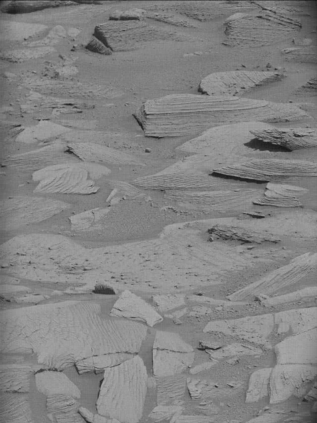 Sol 4486: Mast Camera (Mastcam)