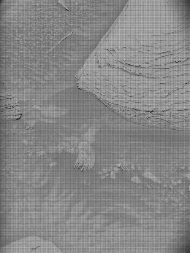 Sol 4487: Mast Camera (Mastcam)