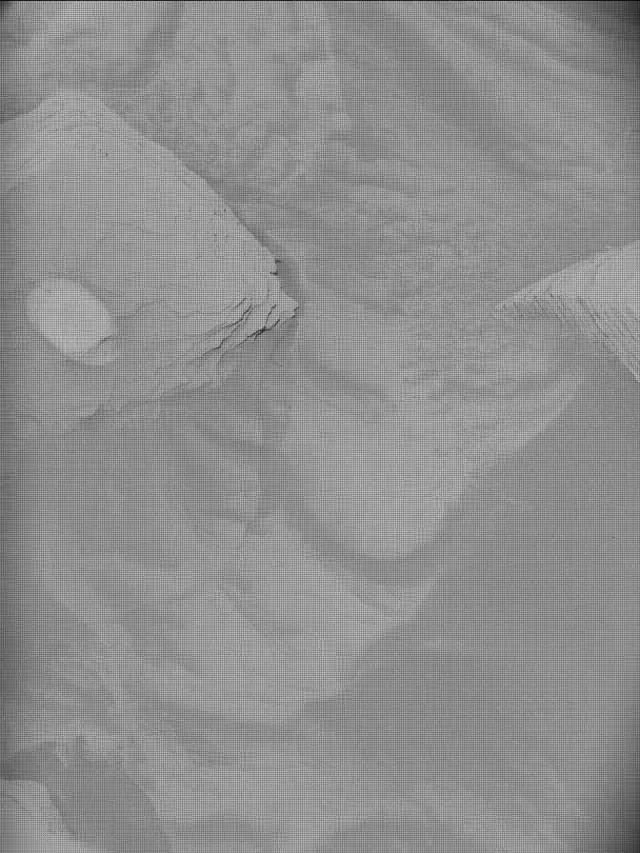 Sol 4487: Mast Camera (Mastcam)