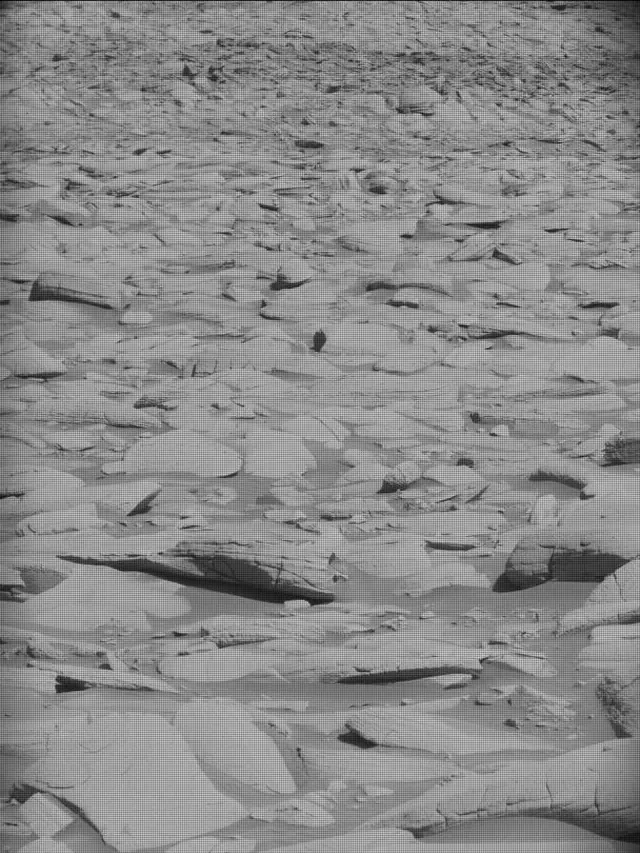 Sol 4487: Mast Camera (Mastcam)