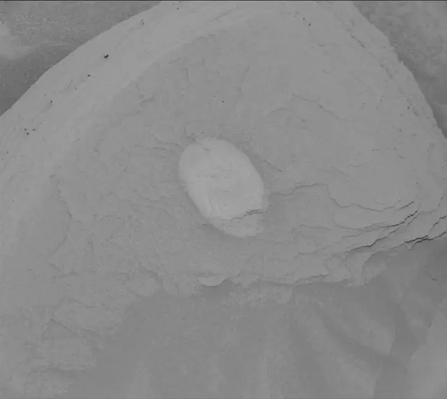 Sol 4487: Mast Camera (Mastcam)