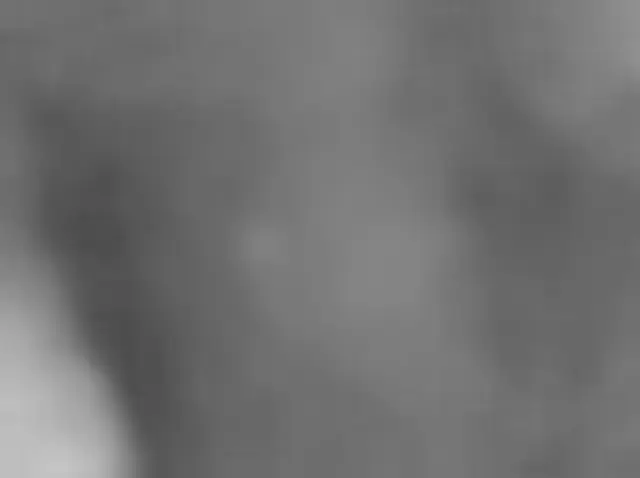 Sol 4487: Mars Hand Lens Imager (MAHLI)