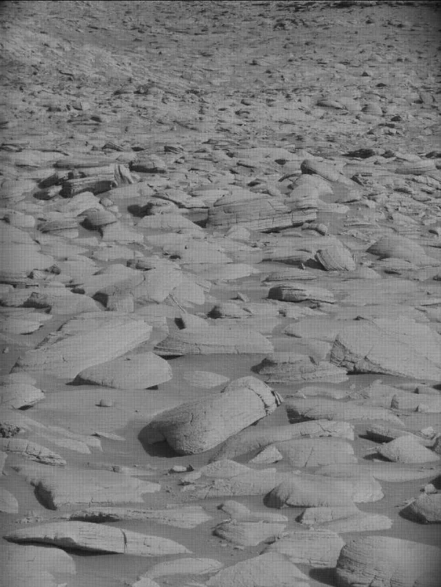 Sol 4489: Mast Camera (Mastcam)