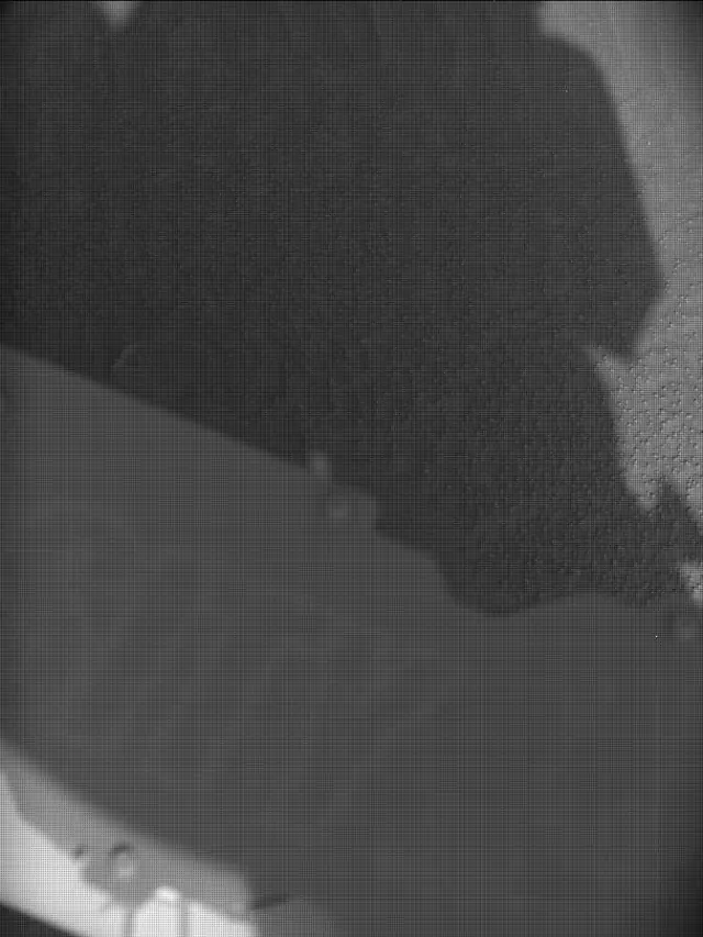 Sol 4491: Mast Camera (Mastcam)