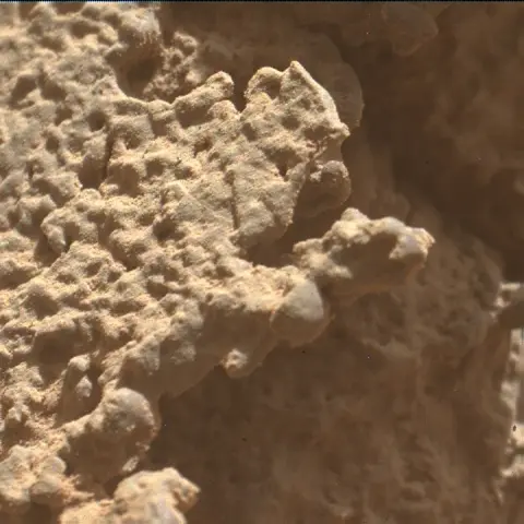 Sol 4498: Mars Hand Lens Imager (MAHLI)