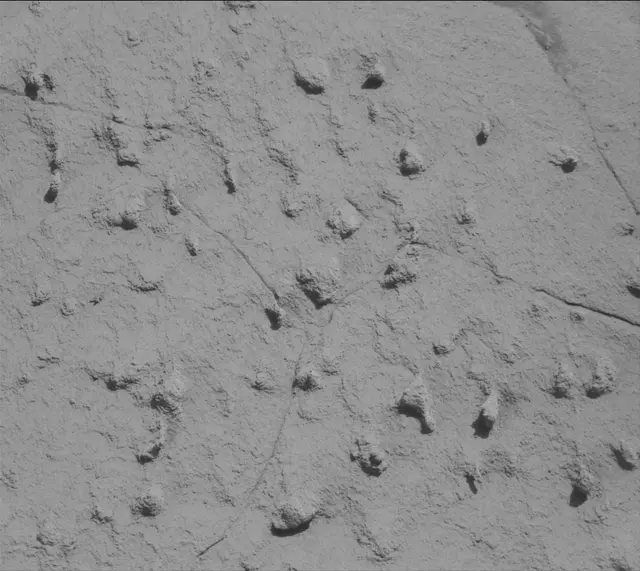 Sol 4505: Mast Camera (Mastcam)