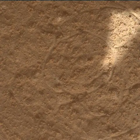 Sol 4505: Mars Hand Lens Imager (MAHLI)