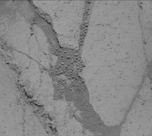 Sol 4507: Mast Camera (Mastcam)