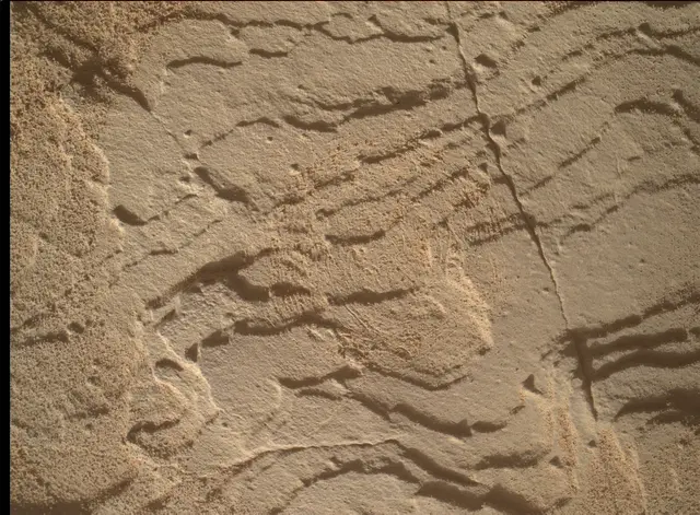 Sol 4511: Mars Hand Lens Imager (MAHLI)