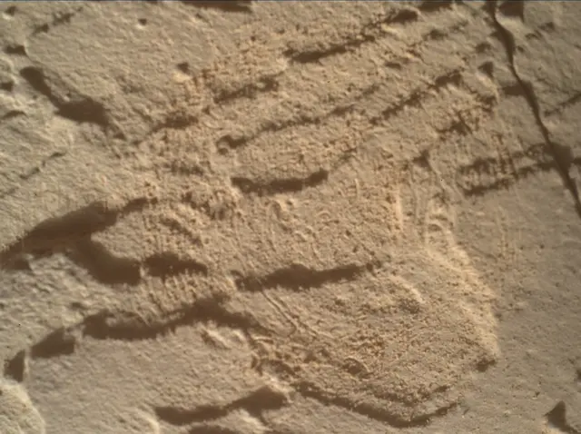 Sol 4511: Mars Hand Lens Imager (MAHLI)