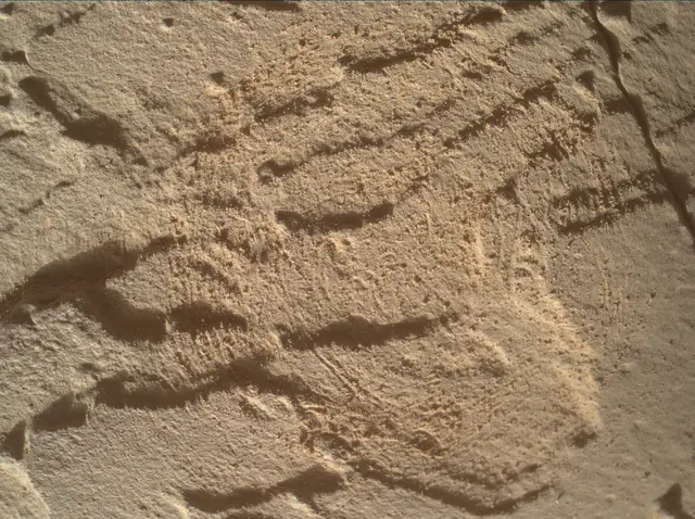 Sol 4511: Mars Hand Lens Imager (MAHLI)