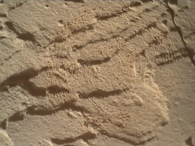 Sol 4511: Mars Hand Lens Imager (MAHLI)