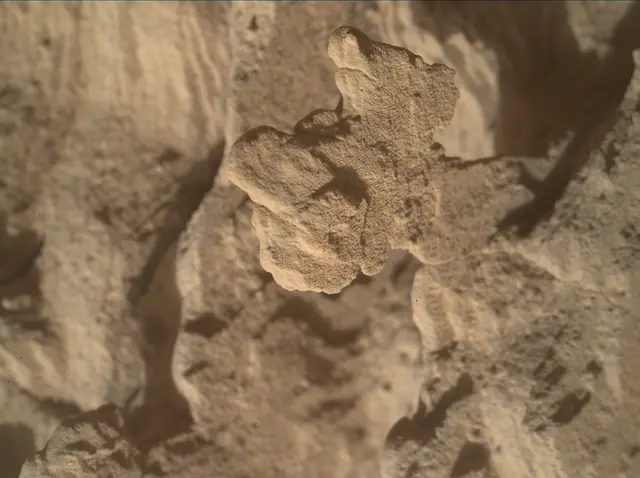 Sol 4513: Mars Hand Lens Imager (MAHLI)