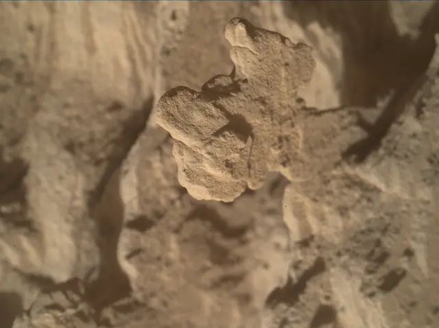 Sol 4513: Mars Hand Lens Imager (MAHLI)
