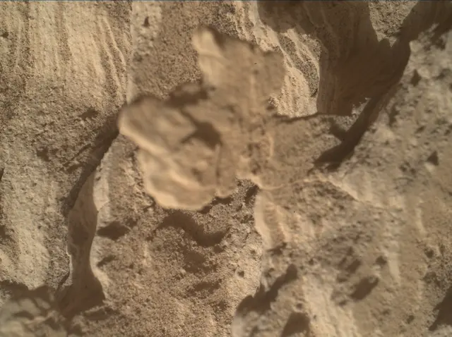 Sol 4513: Mars Hand Lens Imager (MAHLI)