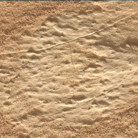 Sol 4525: Mars Hand Lens Imager (MAHLI)