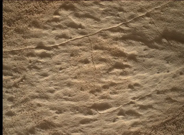 Sol 4525: Mars Hand Lens Imager (MAHLI)