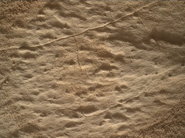 Sol 4525: Mars Hand Lens Imager (MAHLI)