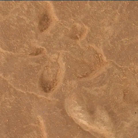 Sol 4527: Mars Hand Lens Imager (MAHLI)