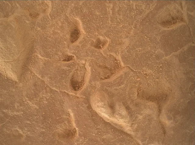 Sol 4527: Mars Hand Lens Imager (MAHLI)