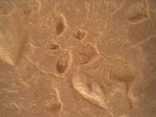 Sol 4527: Mars Hand Lens Imager (MAHLI)