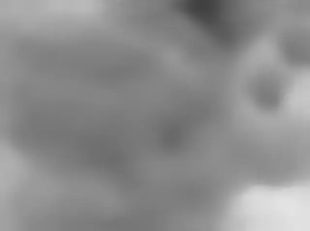 Sol 4532: Mars Hand Lens Imager (MAHLI)
