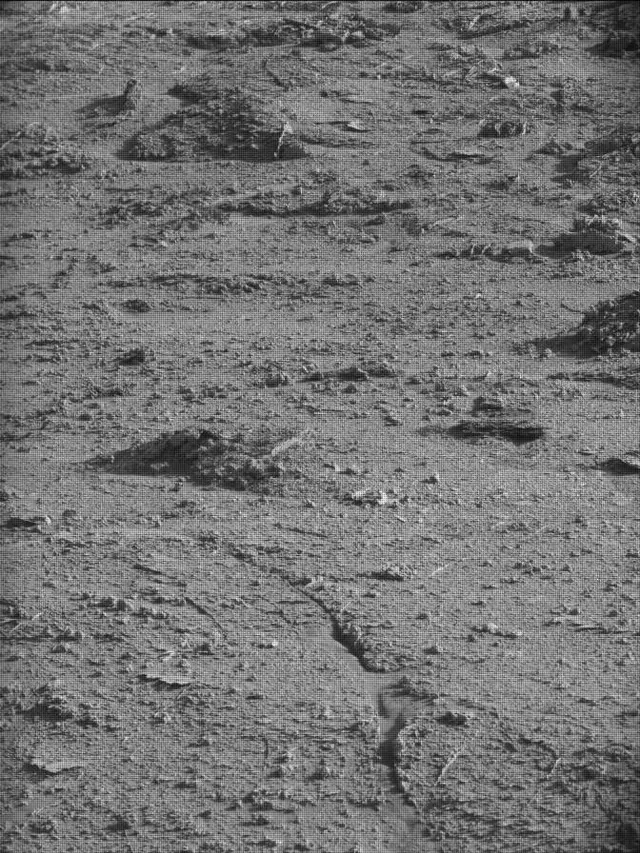 Sol 4534: Mast Camera (Mastcam)