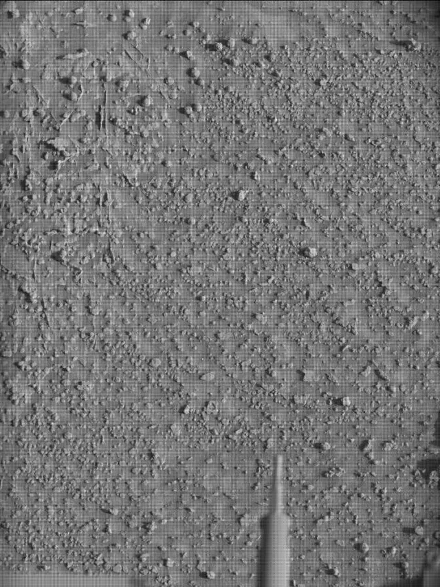 Sol 4534: Mast Camera (Mastcam)
