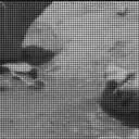 Sol 4534: Mast Camera (Mastcam)