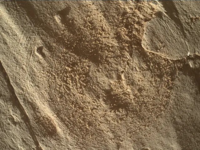 Sol 4536: Mars Hand Lens Imager (MAHLI)