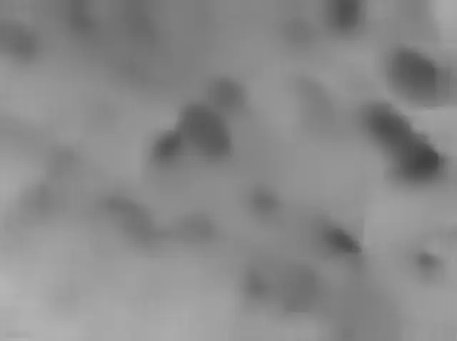 Sol 4537: Mars Hand Lens Imager (MAHLI)