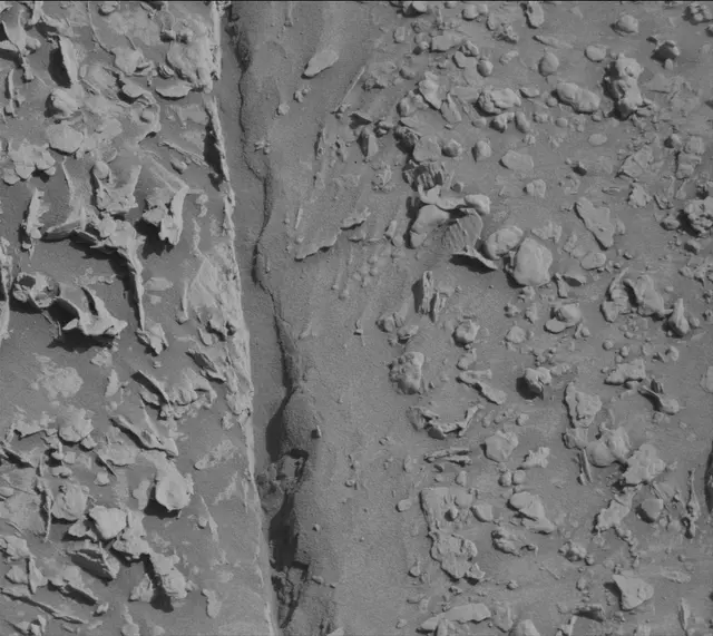 Sol 4539: Mast Camera (Mastcam)