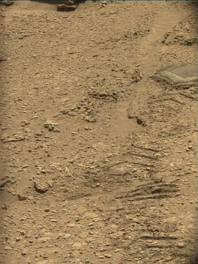 Sol 4541: Mast Camera (Mastcam)