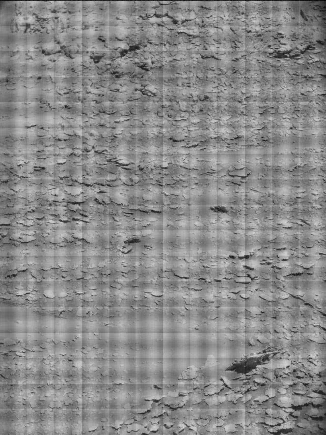 Sol 4541: Mast Camera (Mastcam)