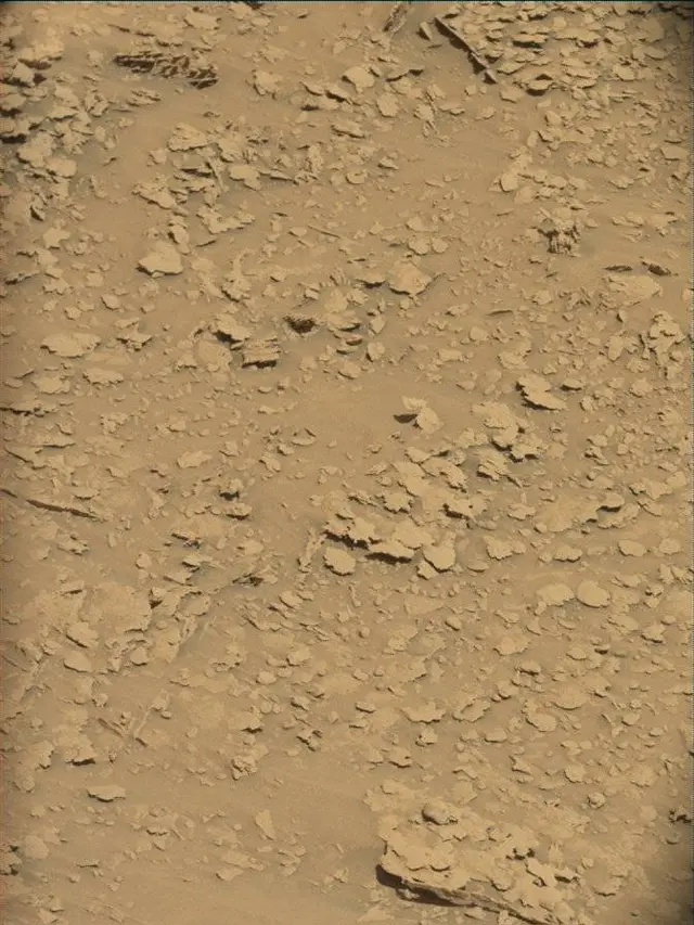 Sol 4541: Mast Camera (Mastcam)