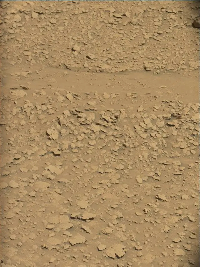 Sol 4541: Mast Camera (Mastcam)