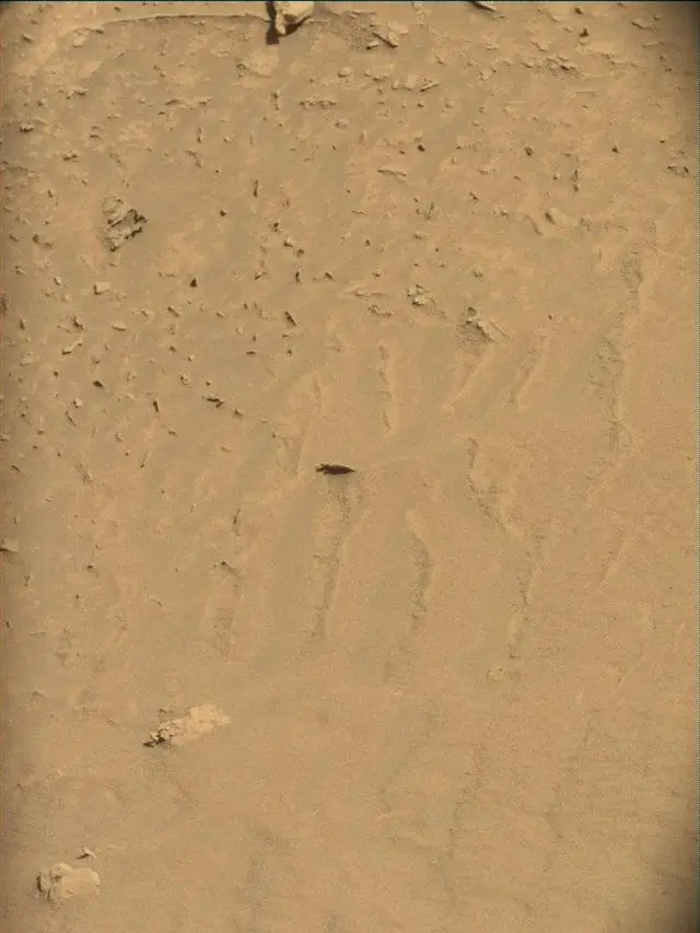 Sol 4541: Mast Camera (Mastcam)