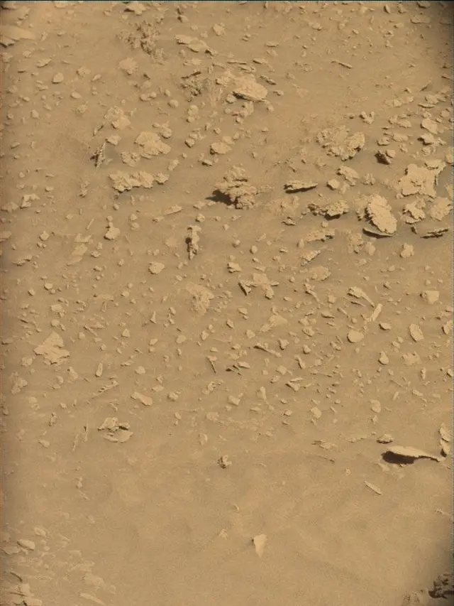 Sol 4541: Mast Camera (Mastcam)