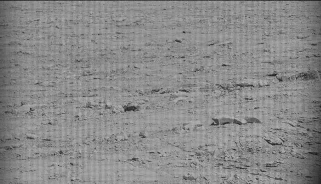 Sol 4544: Mast Camera (Mastcam)