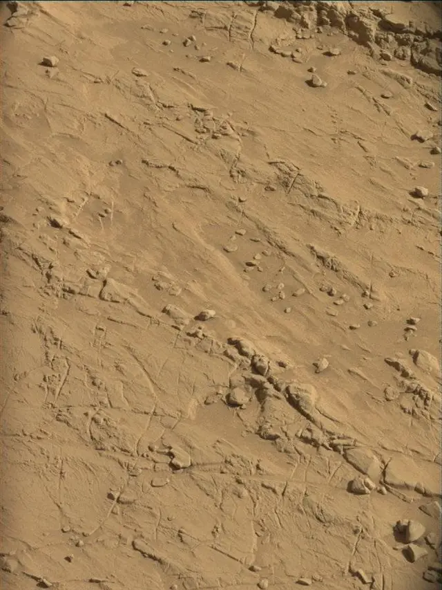 Sol 4544: Mast Camera (Mastcam)