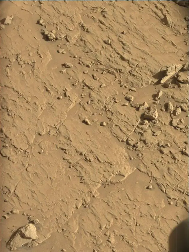 Sol 4546: Mast Camera (Mastcam)