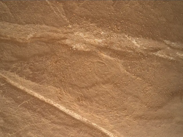 Sol 4546: Mars Hand Lens Imager (MAHLI)