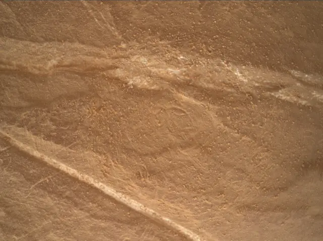 Sol 4546: Mars Hand Lens Imager (MAHLI)